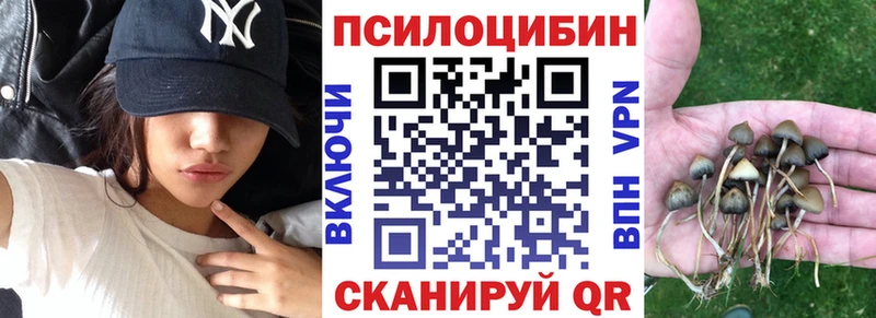 Псилоцибиновые грибы Cubensis  Купить закладки  Фурманов 